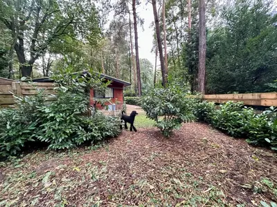 a black cat standing in front of a house at Het Zenhuisje in Lanaken