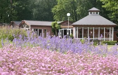 a field of purple flowers in front of a building at Het Zenhuisje in Lanaken