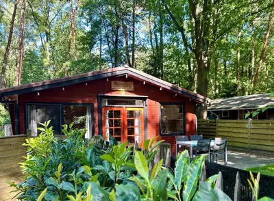 a small cabin in the woods with a table and chairs at Het Zenhuisje in Lanaken