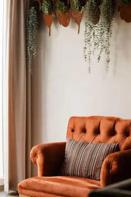 a couch with potted plants hanging on a wall at Time - Out Genoelselderen in Riemst