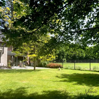 a dog sitting in a yard under a tree at Het Veldhuis in As