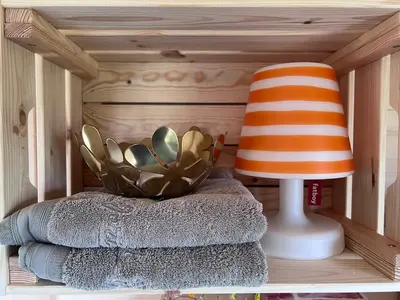 a plant sitting on a shelf in a tiny house at Ontwaken tussen de paarden in Helen-Bos