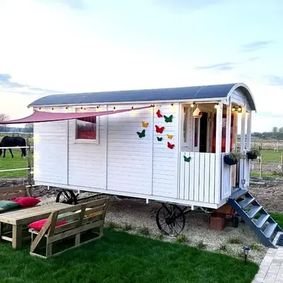 Ontwaken tussen de paarden